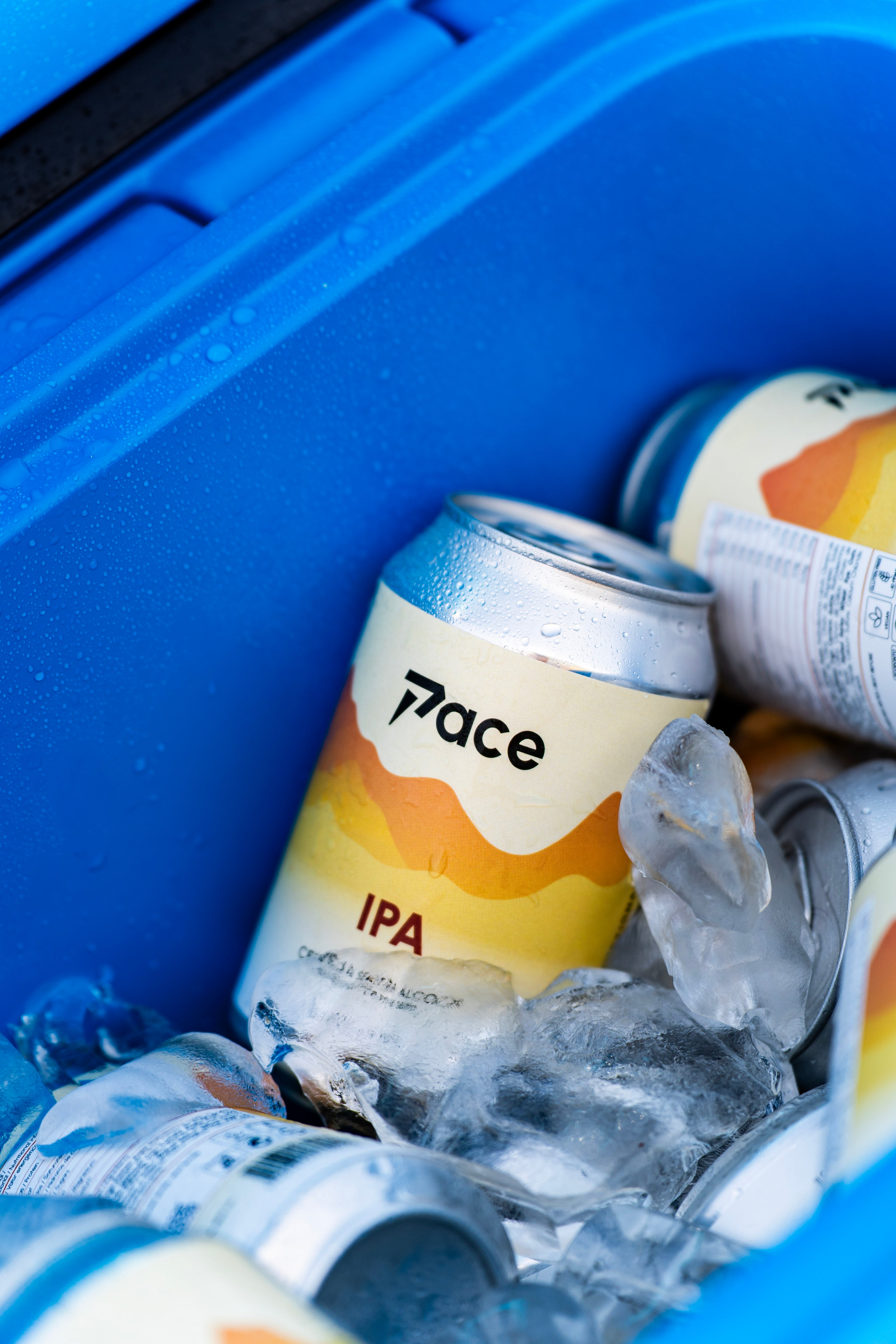 Pré-Encomenda: PACE IPA - Cerveja Sem Álcool